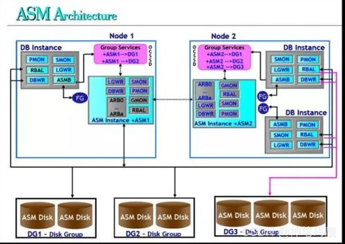 Oracle自动存储管理（ASM） 数据处理与存储支持服务深度解析