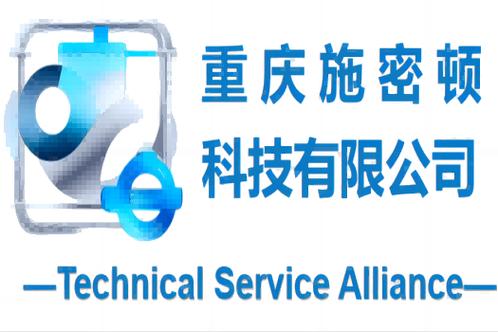 从技术服务到数据支撑 企业数字化转型的全链条能力构建